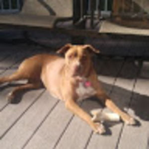 Meet your Posher, Wendy